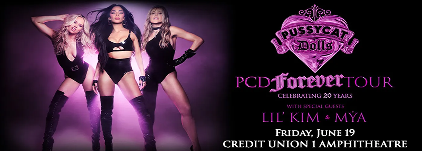 Pussycat Dolls, Lil Kim &amp; Mya